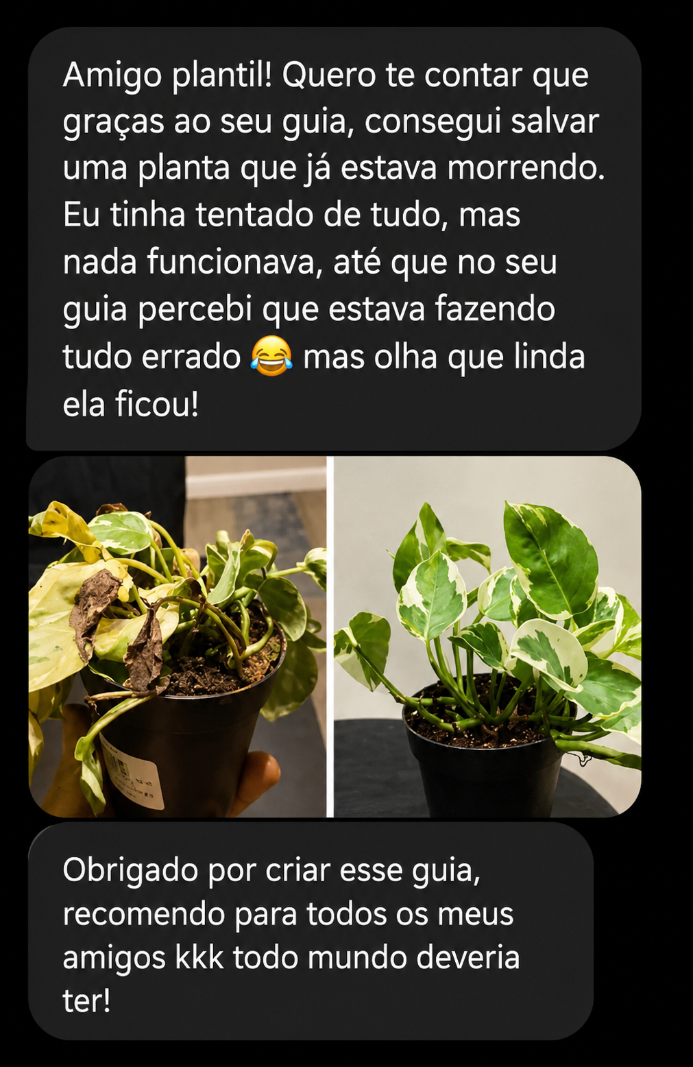 Depoimento de aluno que salvou uma planta que estava morrendo