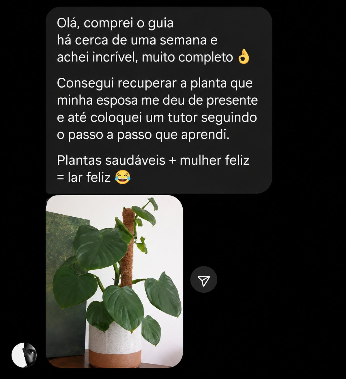 Depoimento de aluno sobre recuperar a planta com o guia