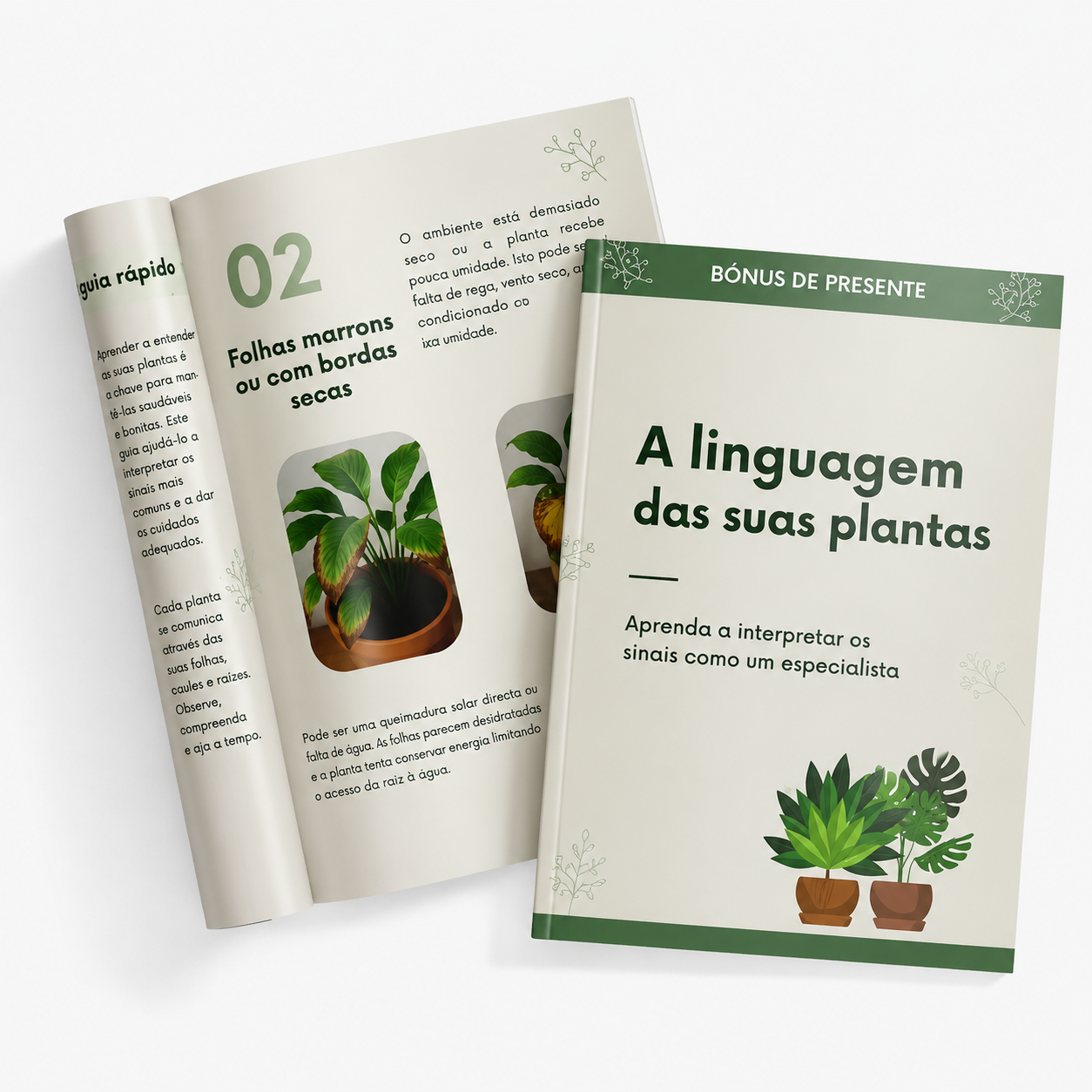 Aprenda a entender a linguagem das plantas