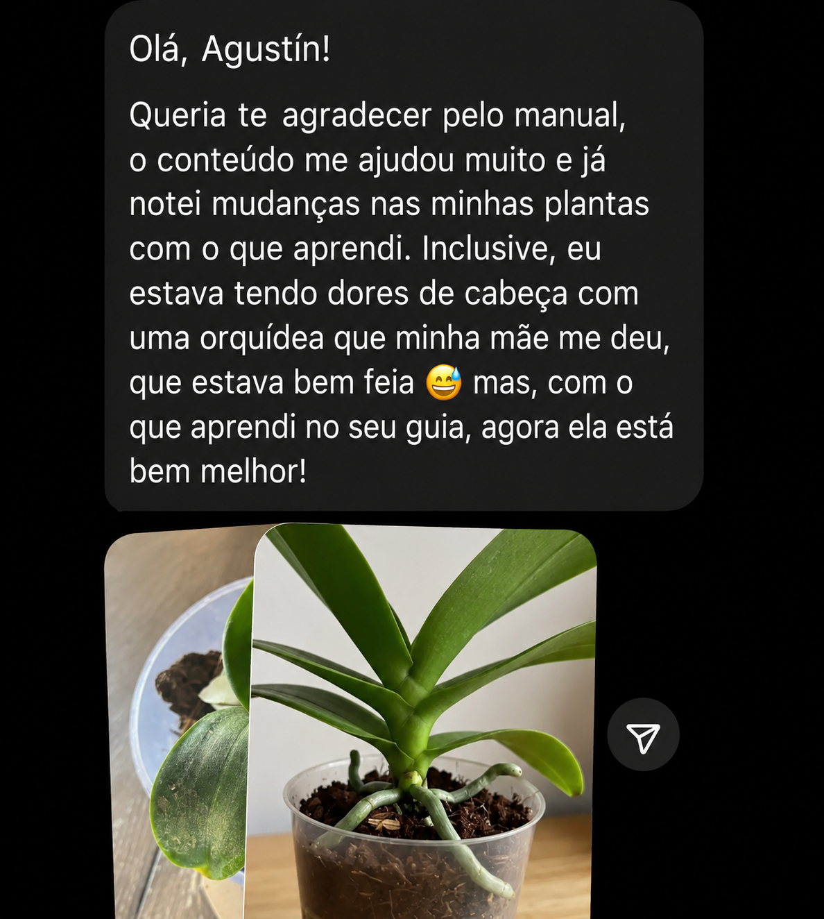 Depoimento de aluna sobre a orquídea recuperada